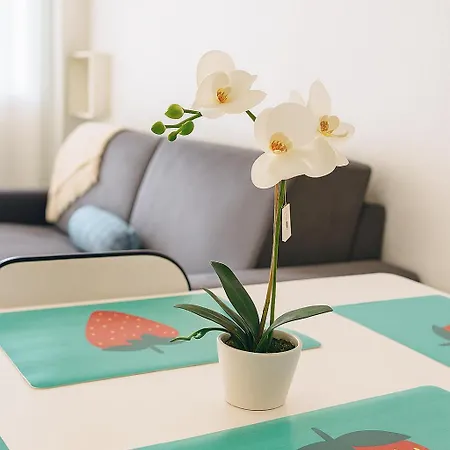 Appartement Mas Du Tanit