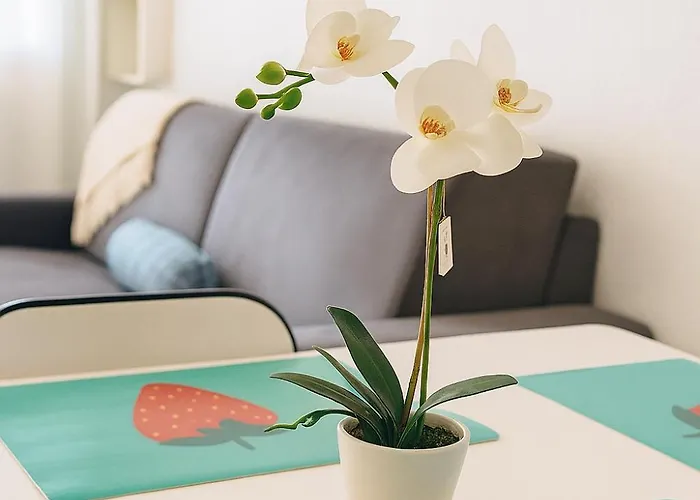 公寓 Mas Du Tanit - Escapade En Bord De Mer, Terrasse & Soleil